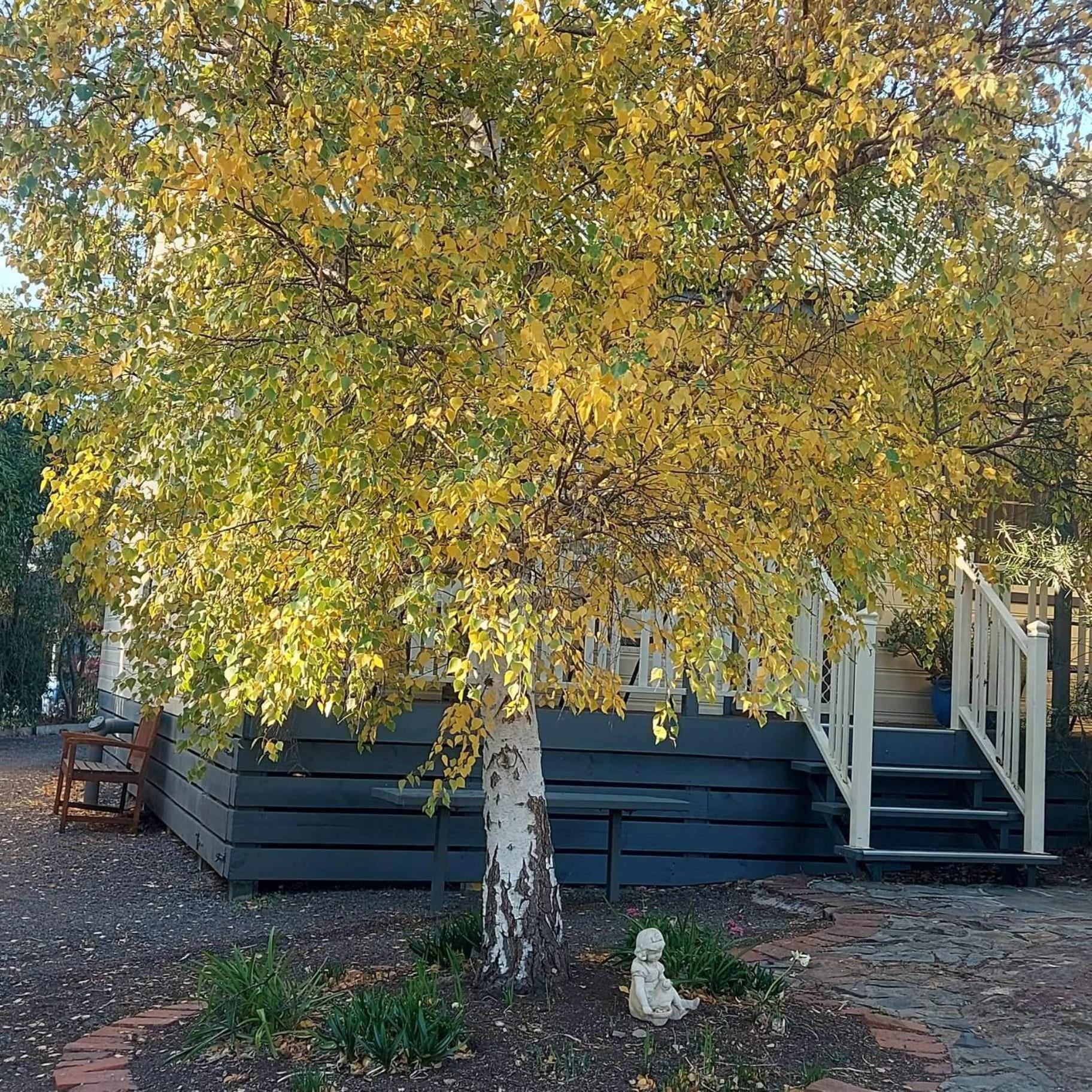 Avoca Cottages VICTORIA Exteriör bild