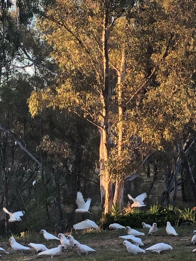 Avoca Cottages VICTORIA Exteriör bild